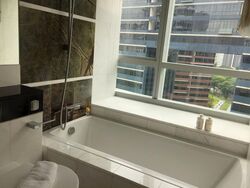 The Vermont On Cairnhill (D9), Apartment #538150311